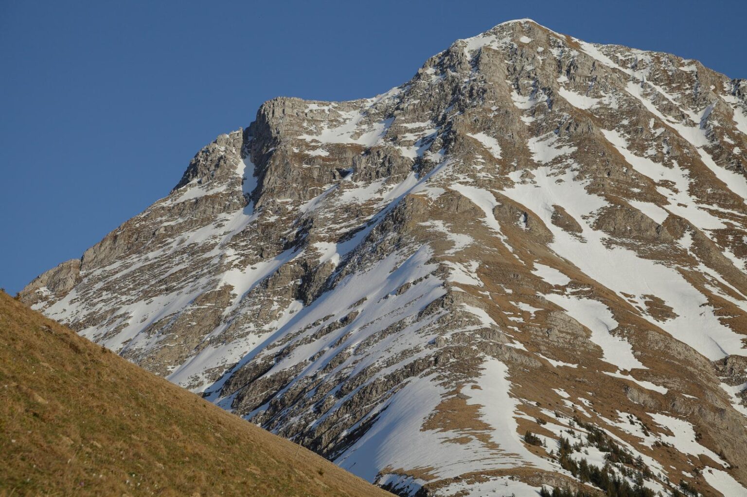 Climate Change in the Fribourg Prealps : A Case Study in the Tissiniva Region